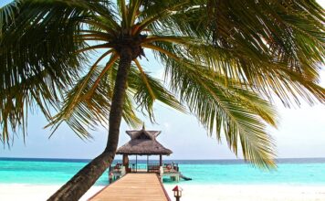 Семейный отпуск у океана: Тайланд или Мальдивы?