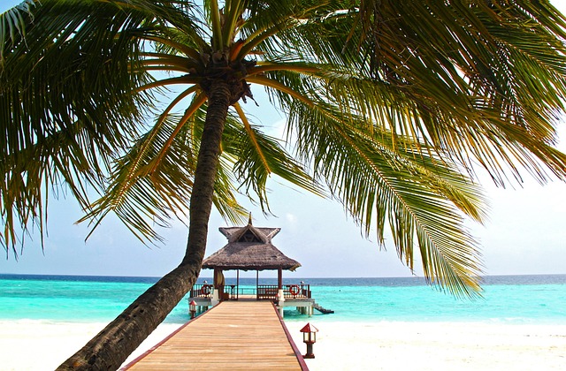 Семейный отпуск у океана: Тайланд или Мальдивы?