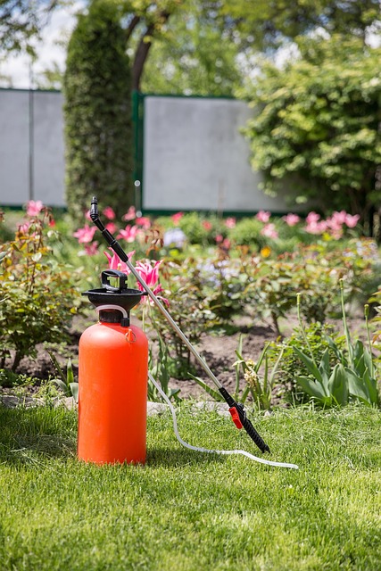 Инсектициды: защита сада и огорода от вредителей