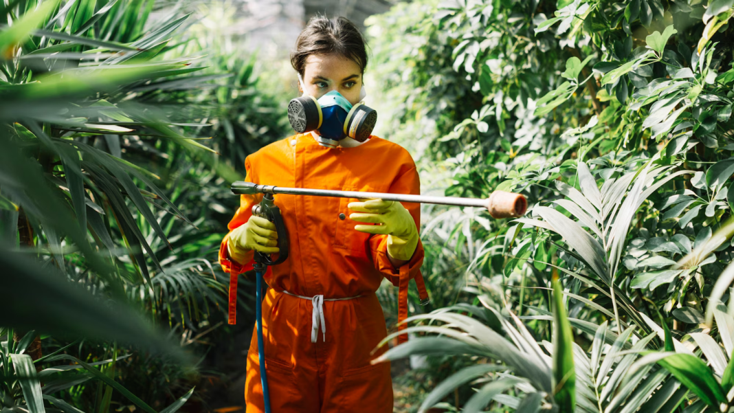 Инсектициды: защита сада и огорода от вредителей